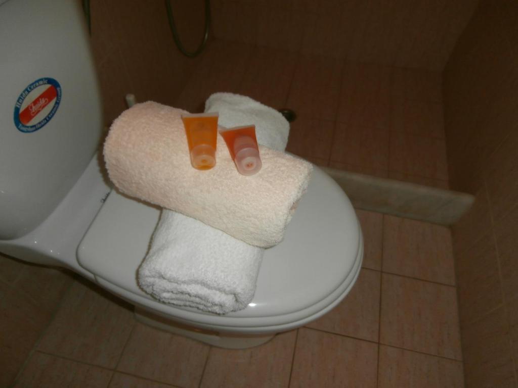 Apartment Pansion Limni *